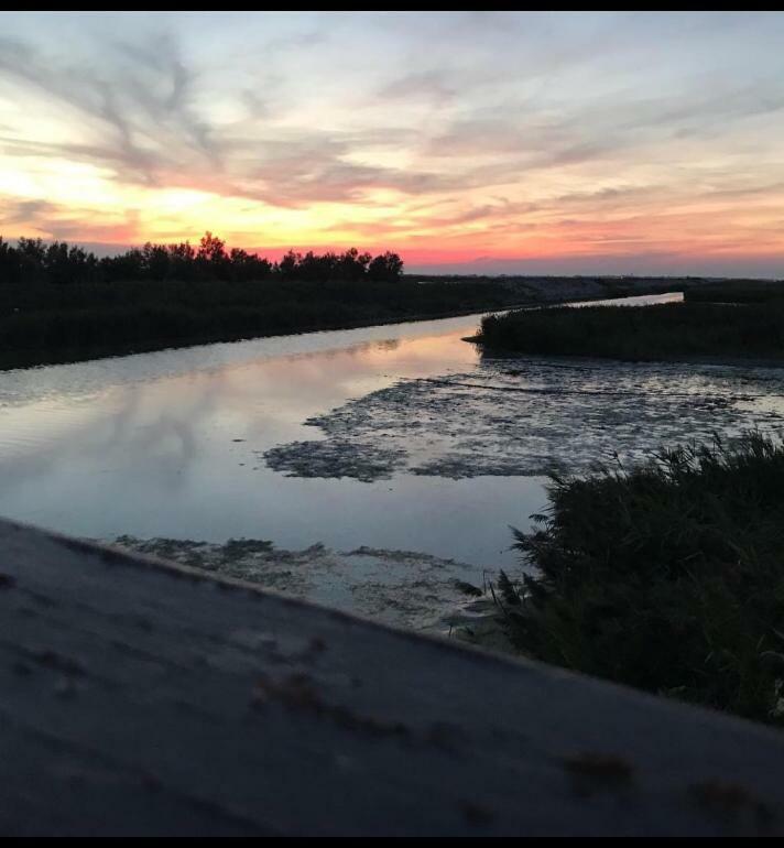 Agriturismo Ca' Pisani Villa Porto Viro Dış mekan fotoğraf